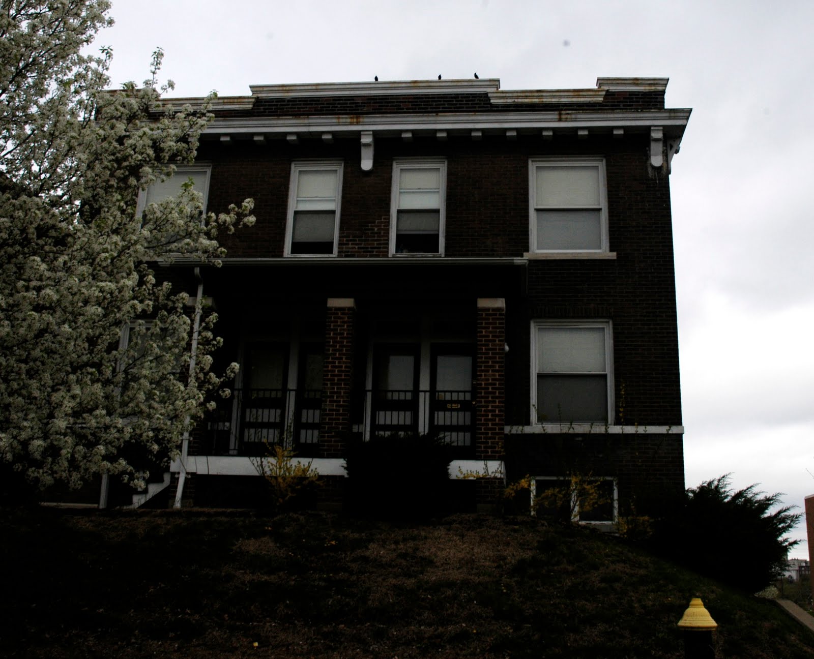 St. Louis City Talk The Penrose Neighborhood