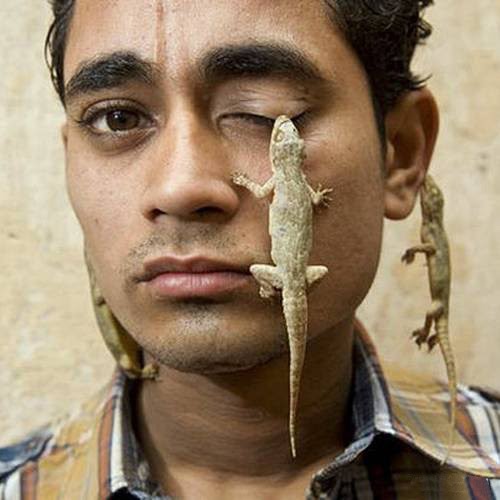 Fun and Technology to funtechzu Blog Crazy Lizard Lover