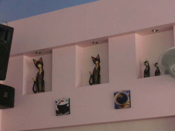 [=?windows-874?B?zsenqNjpwrrYw9XD0cHC7DQ1MS5qcGd=?=-726401]