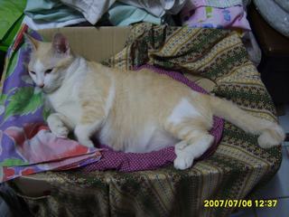 [=?windows-874?B?vti3uNLA1ODJoSAgodSoocPDwTE4NS5qcGd=?=-783451]