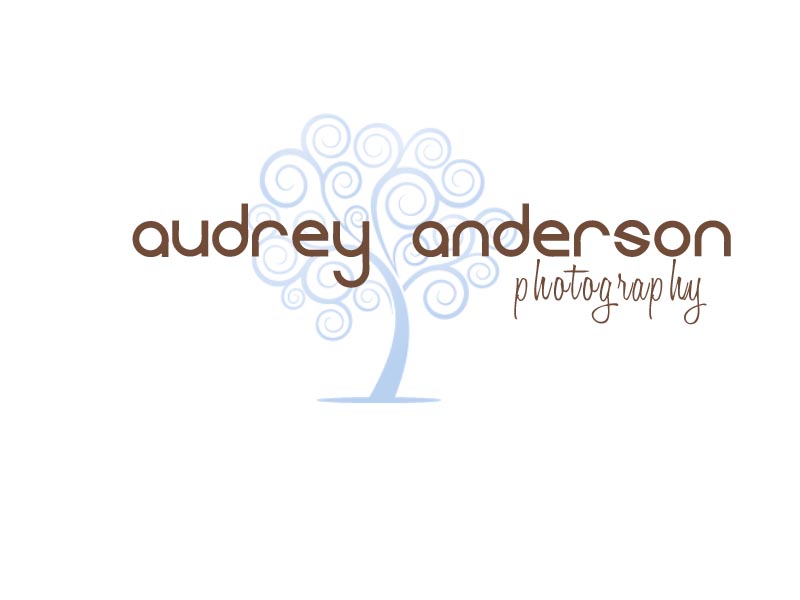 Audrey Anderson Photography