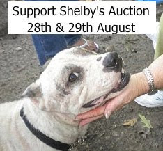 Be a part of Shelby's Auction!