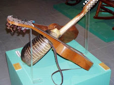 Armadillo Guitar