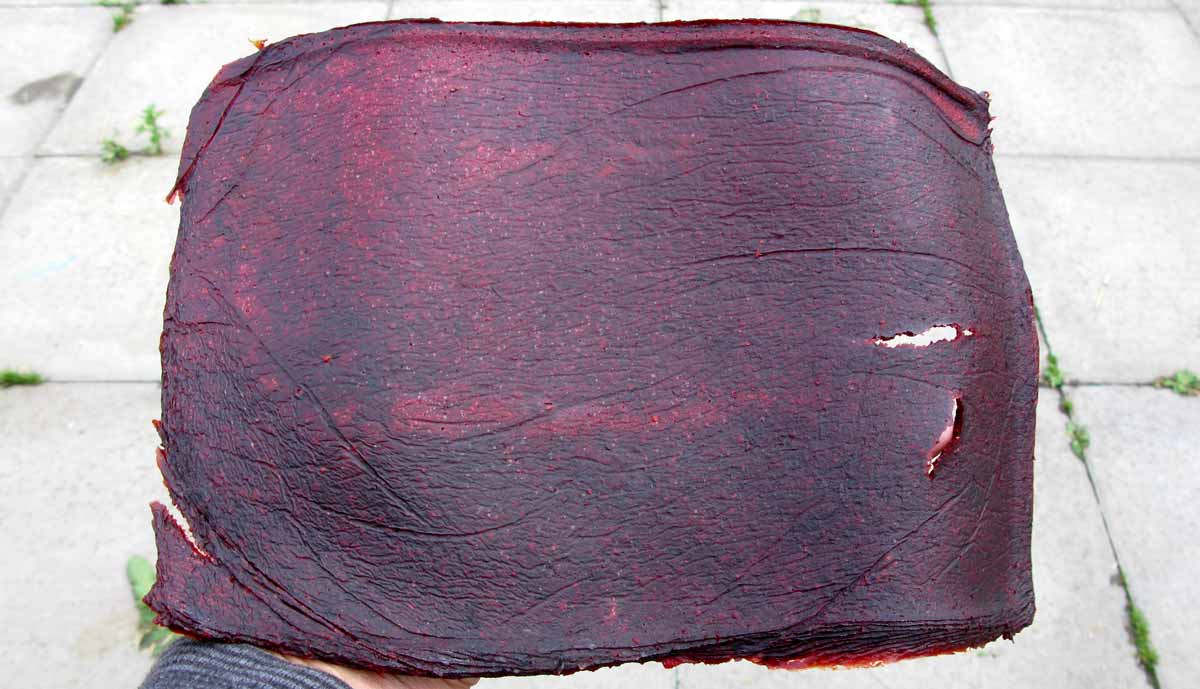 Pheasant Place Fruit leather