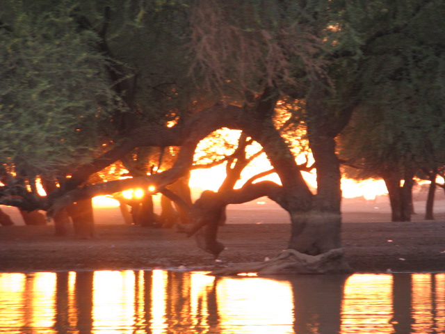 اوراق ملونة