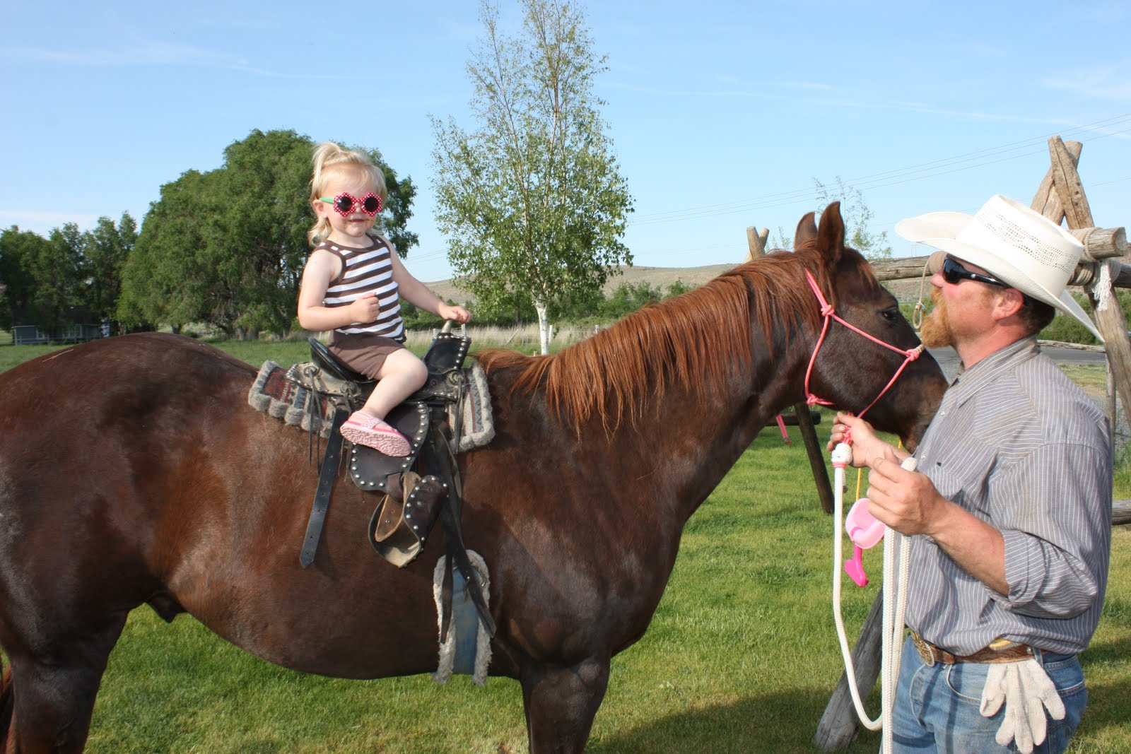 The Stewart Family: Wiley City Rodeo