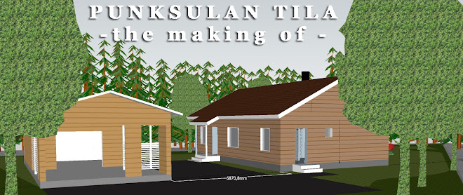 Punksulan tila - the making of -