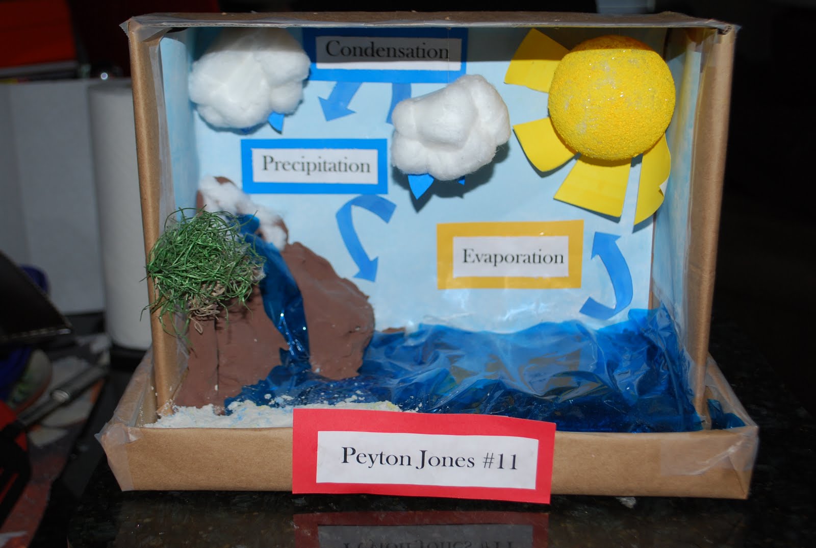 Science Project On Water Cycle