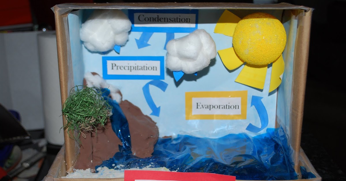 Keeping Up With The Joneses: Water Cycle Project