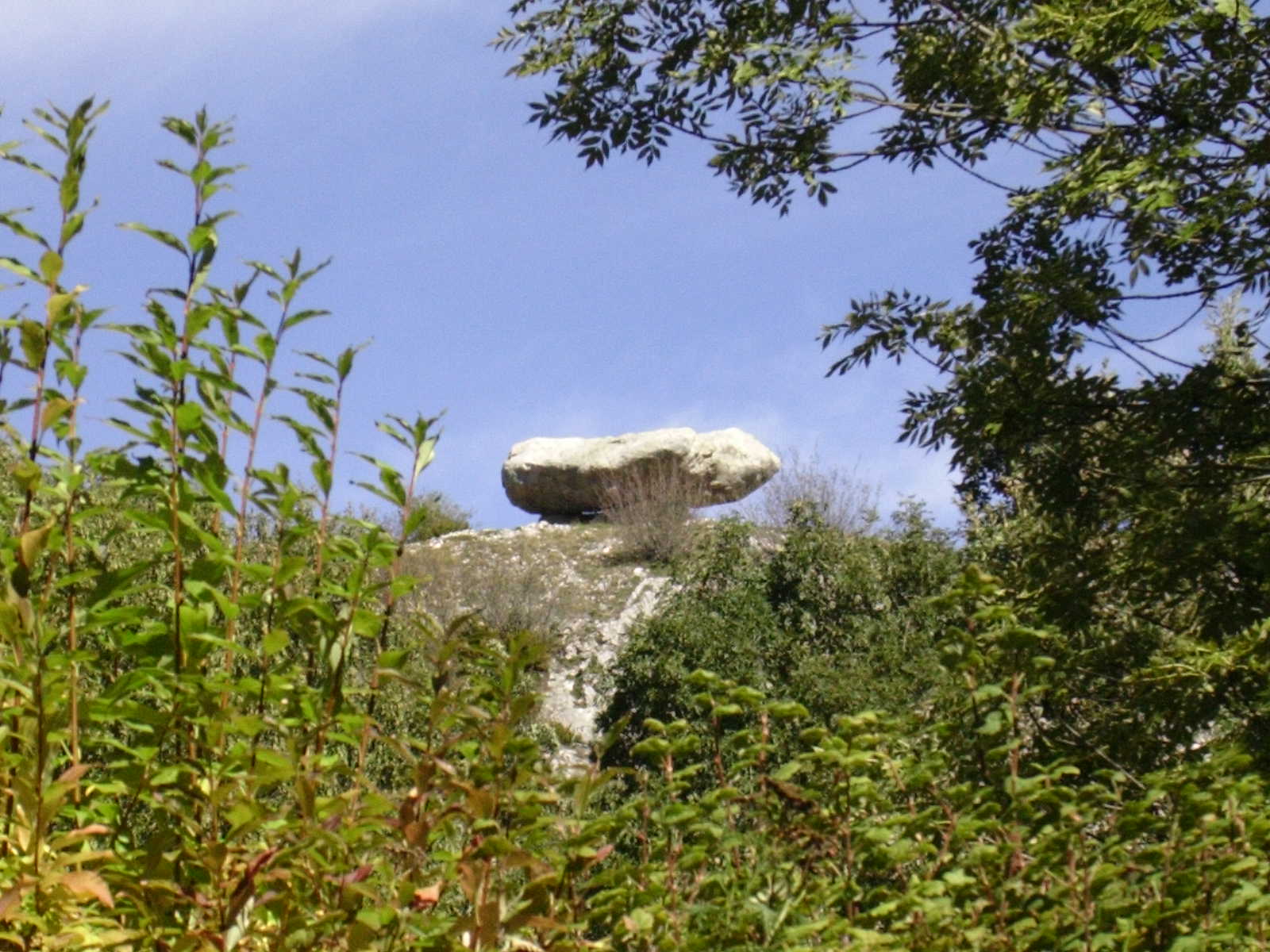 Fleurs de Vero Dolmen de Sem, Ariège. Lien Terre Ciel.