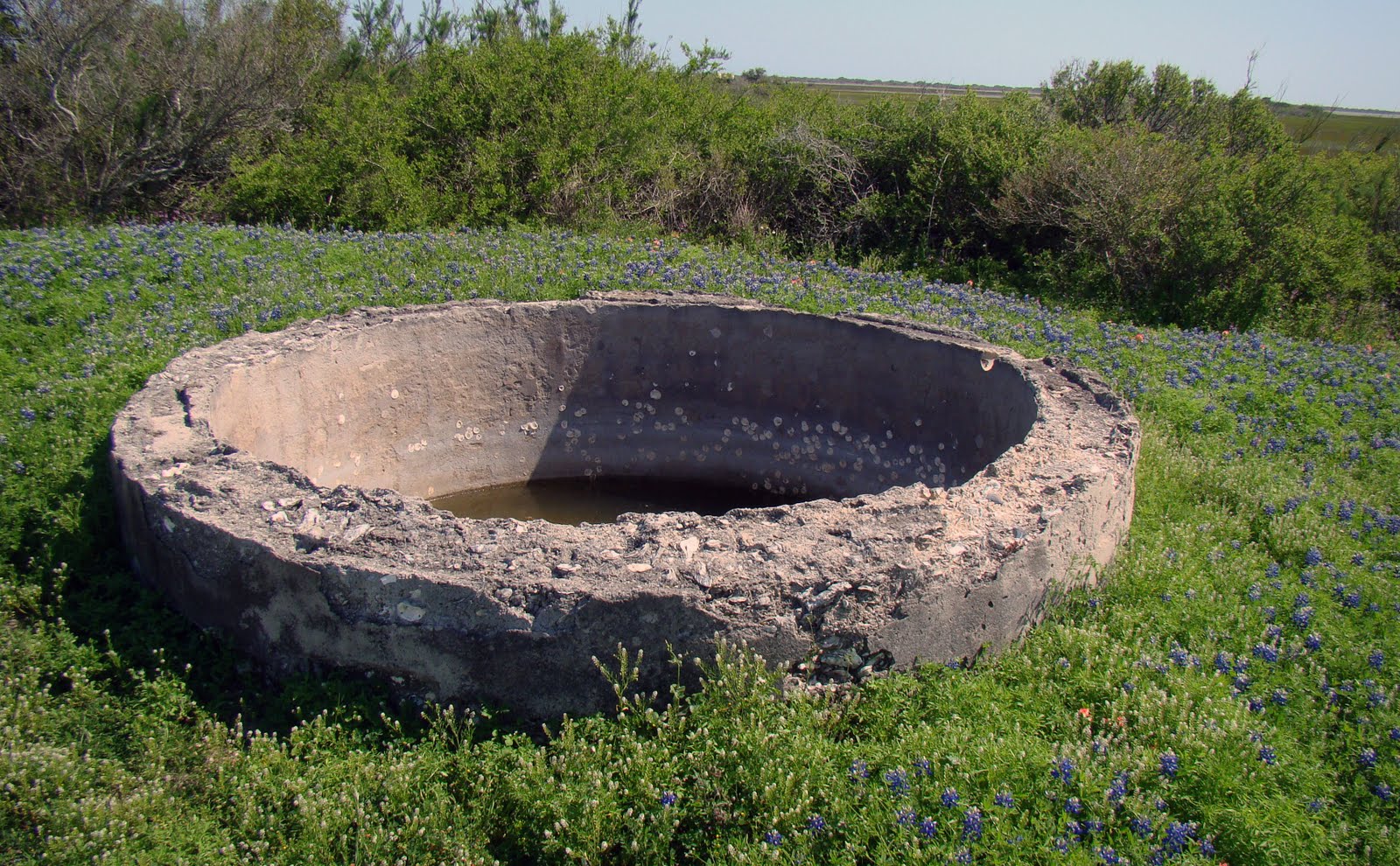 the NAVASOTA CURRENT Indianola, Texas Wars, Storms & Pestilence