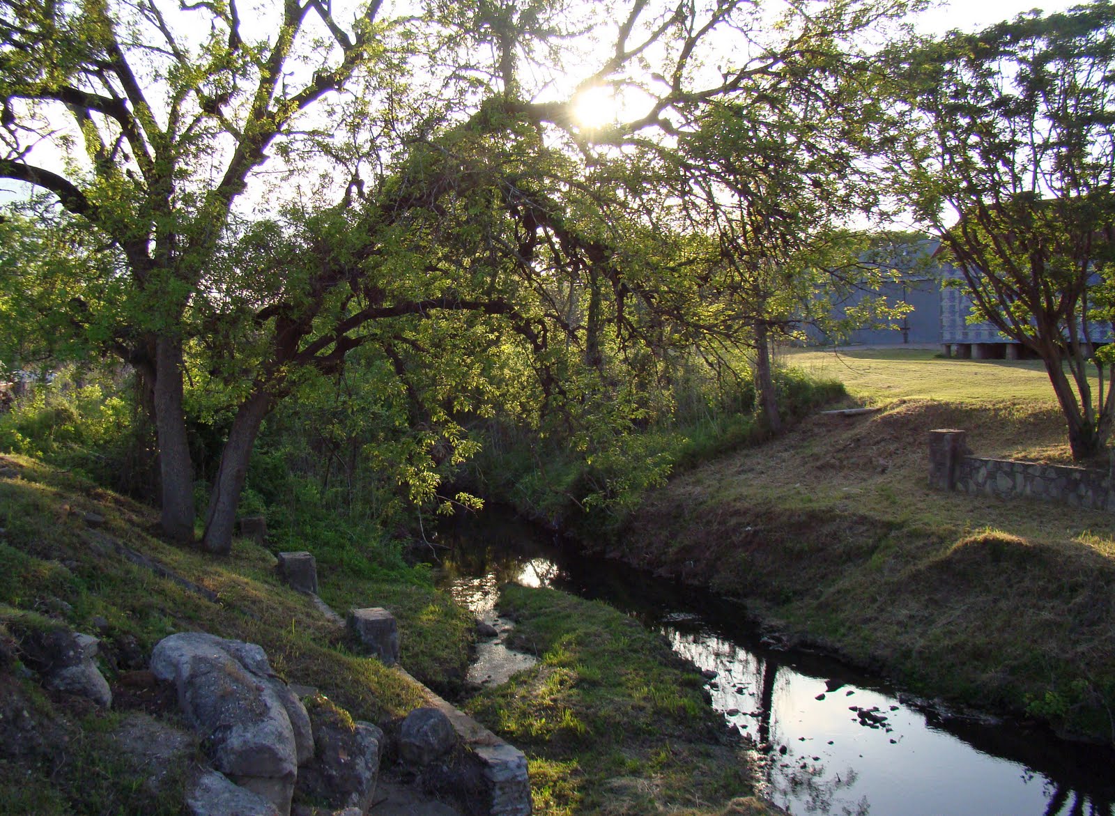 Blues Valley The Brazos Valley Music Scene Mance Birthday