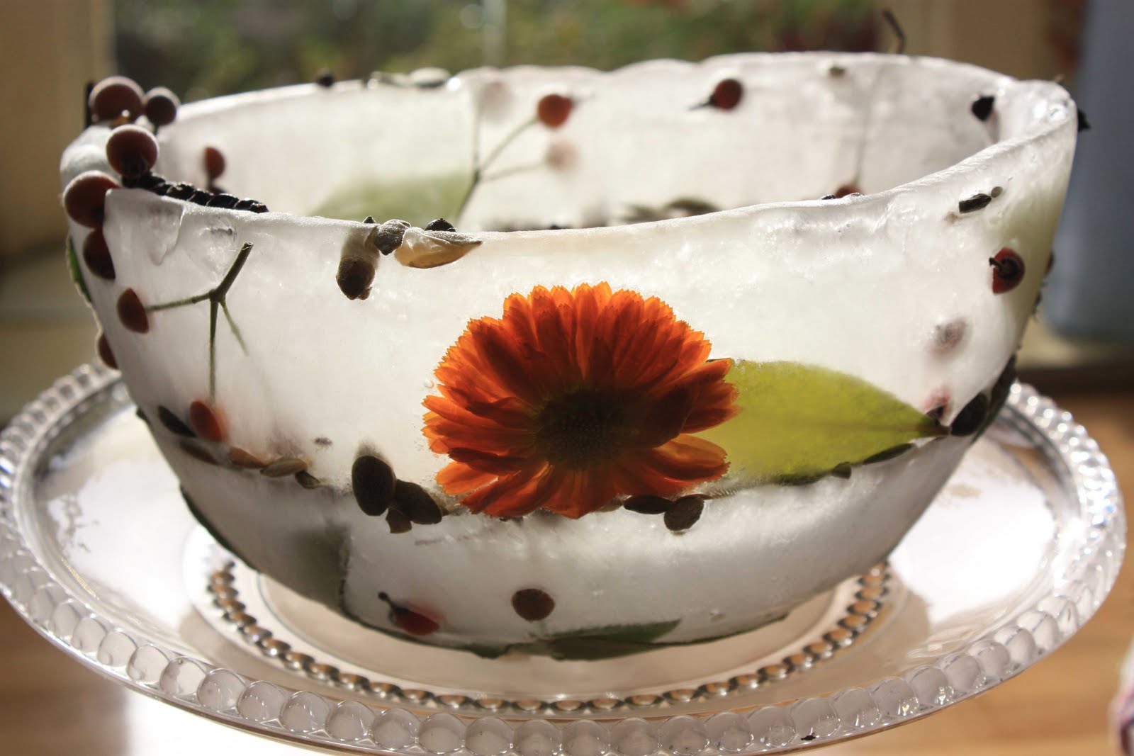 Kathy Brown's Garden Stevington Floral Ice Bowls for Visit Bedford