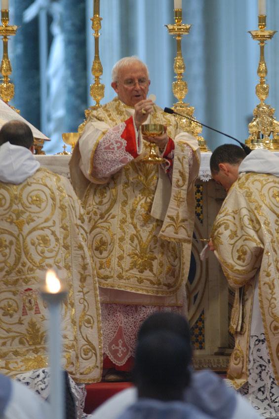[Cañizares6.jpg]
