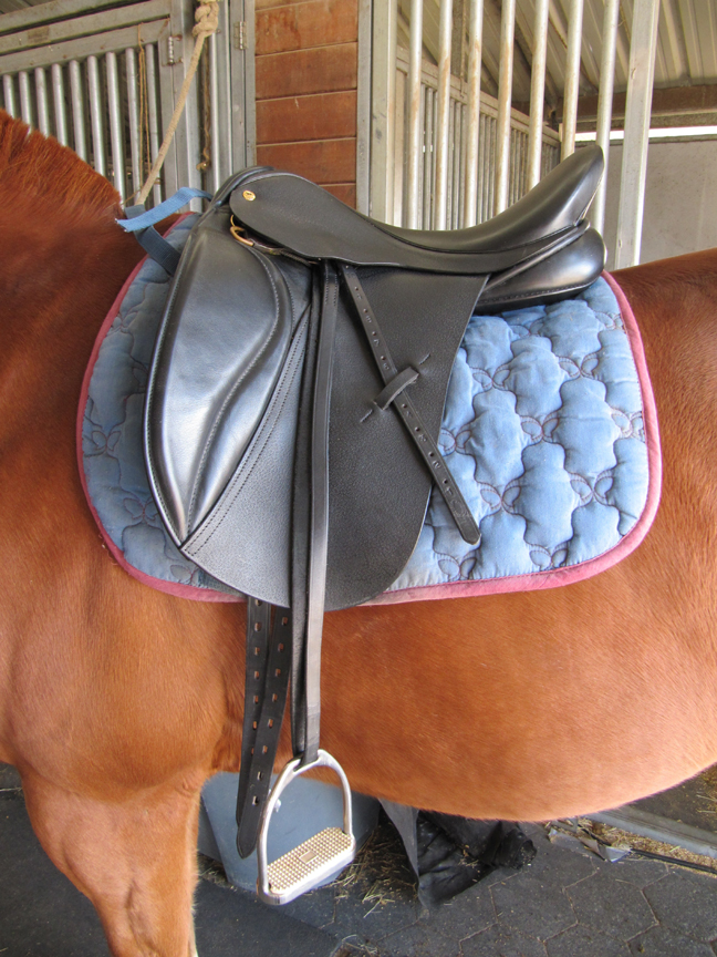 This Is How We Roll Dressage Saddles We Are Flying Solo