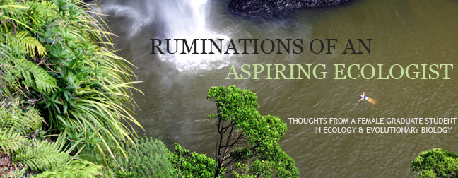 Ruminations of an Aspiring Ecologist