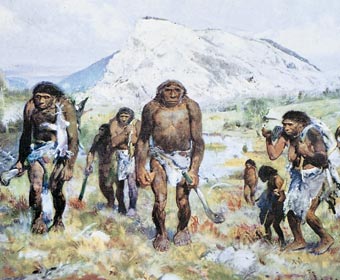 [Neandertal.jpg]