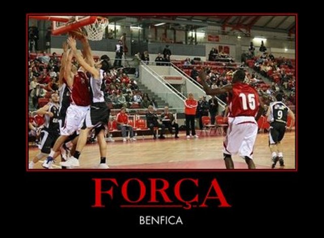 [força.jpg]