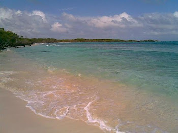 Venezuela Beaches