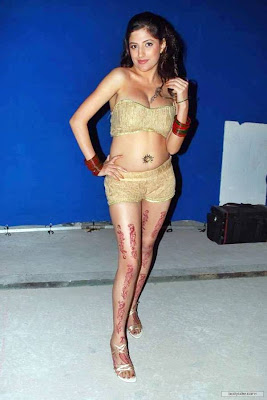 Hot Desi Babes Album Video Shoot - All Hot Celebrities