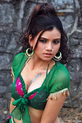 Hot Desi Babes Album Video Shoot - All Hot Celebrities