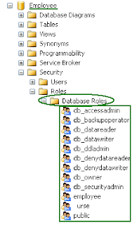 Microsoft SQL Server: SQL Server Security