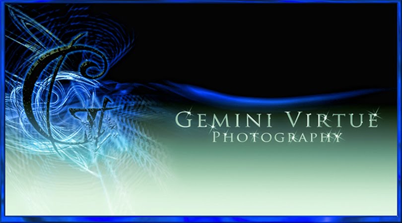 Gemini Virtue Photography