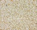 Natural Sesame Seeds