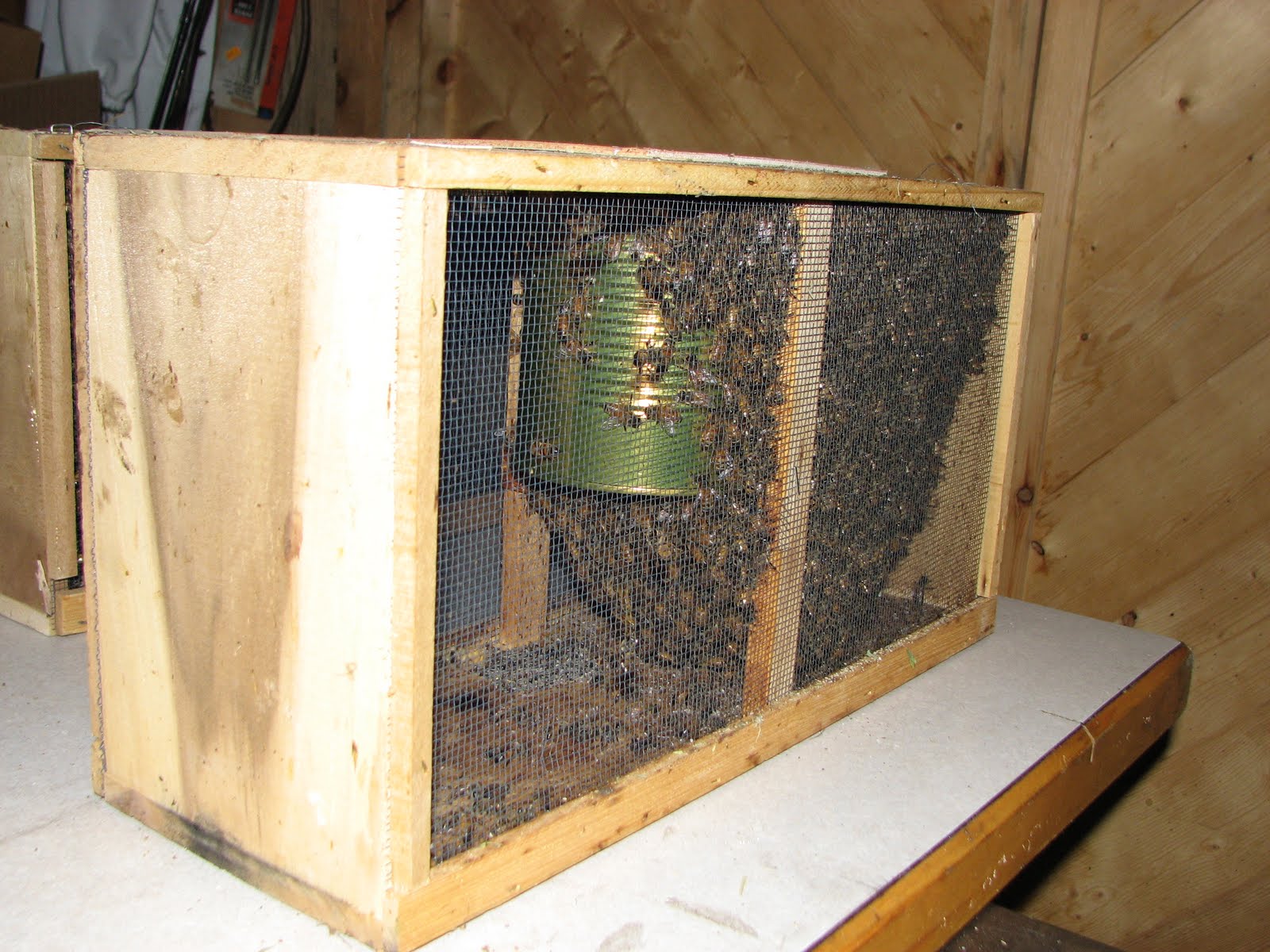 Up In the Valley Package Bees