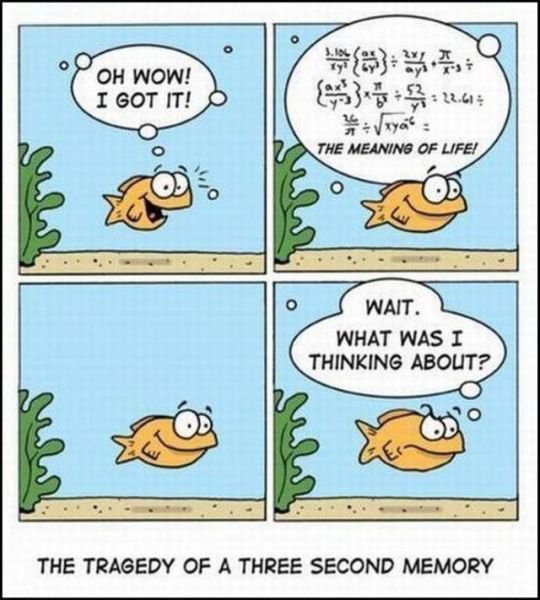 dead goldfish cartoon. And this next cartoon is