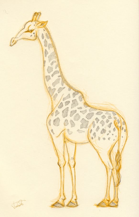 Artwork by Junko Miyakoshi: Giraffe Sketch