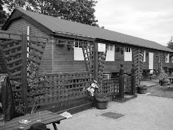 <em><strong>The Hut Dojo</strong></em>