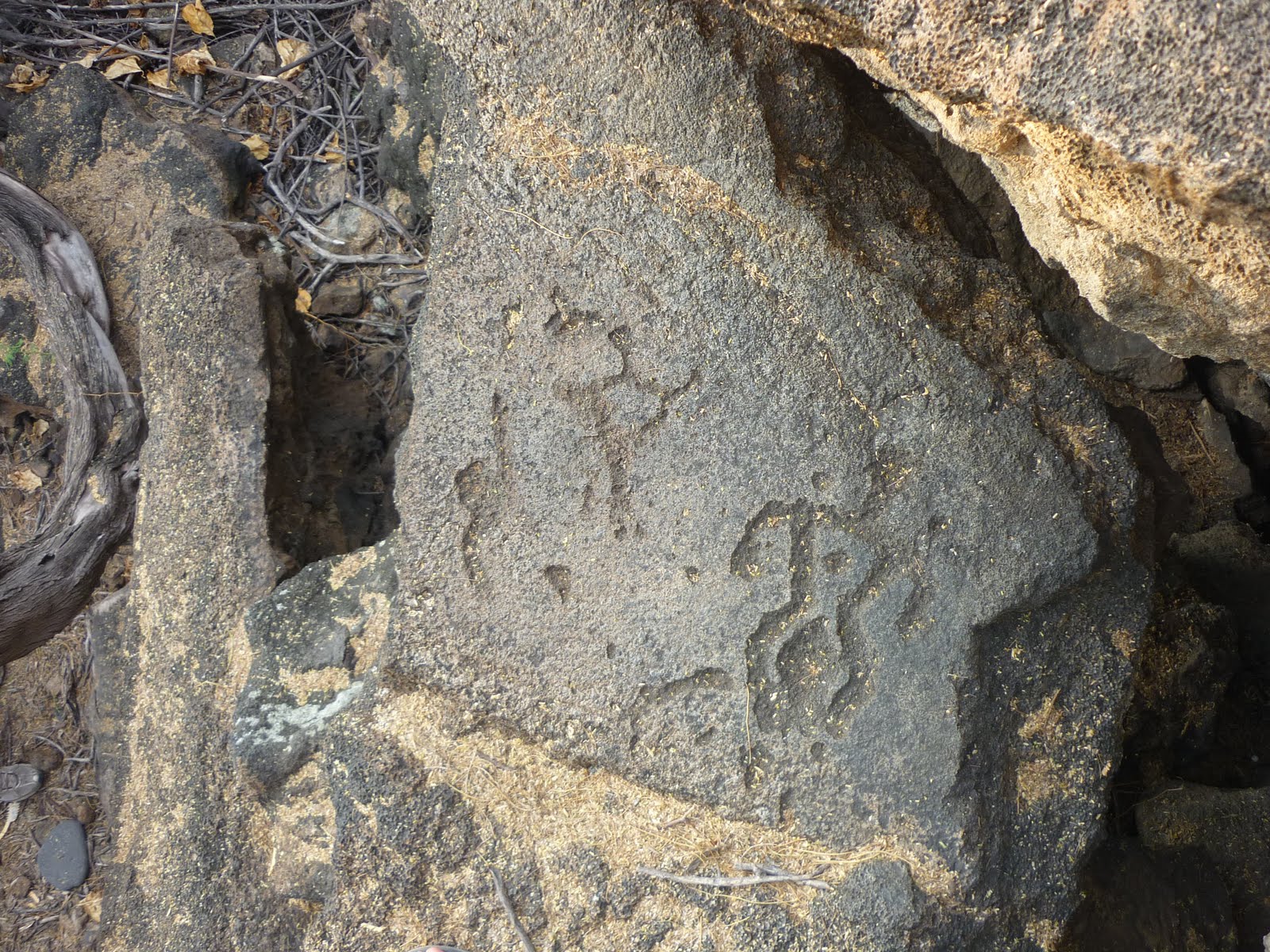 Isaac Dakota The Big Island Thurston Lava Tube & Queen's Bath