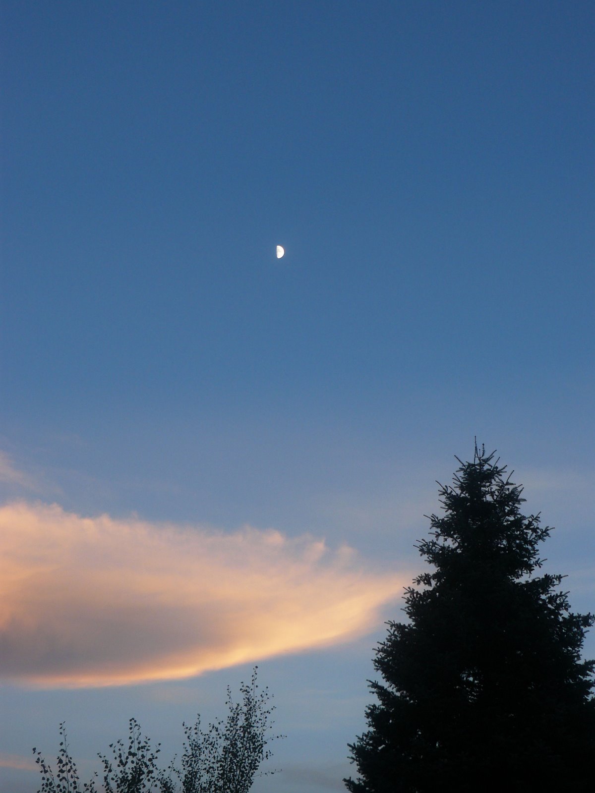 [Cloud+Moon+Tree+-+1.jpg]