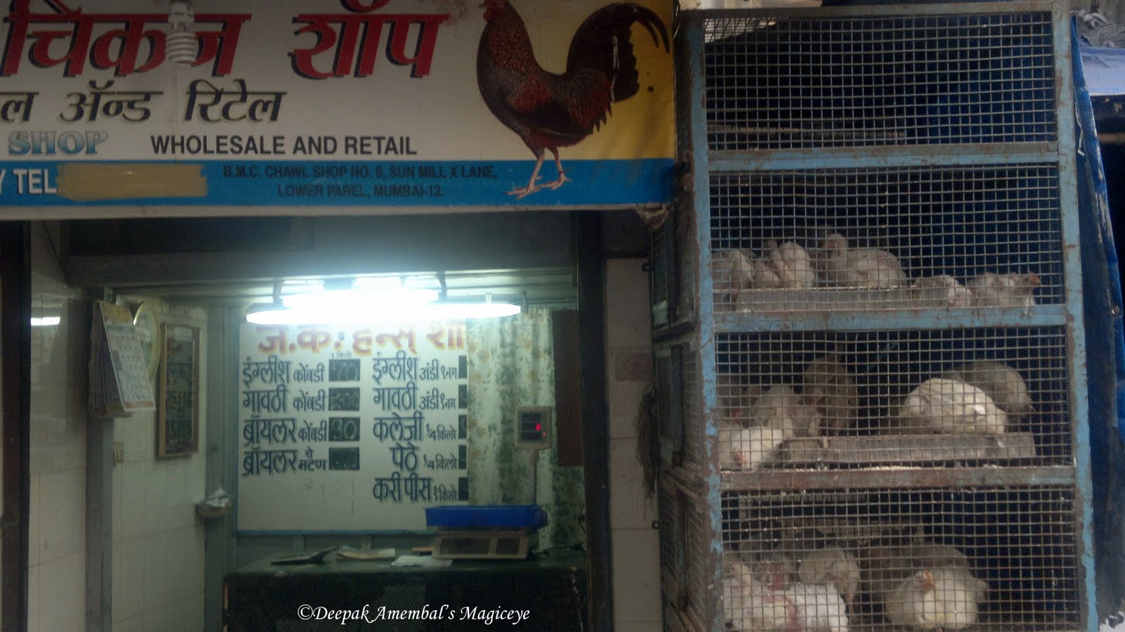 chicken%2Bshop.jpg