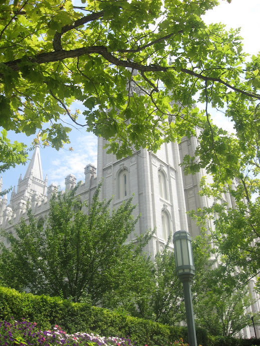 The Salt Lake Temple!