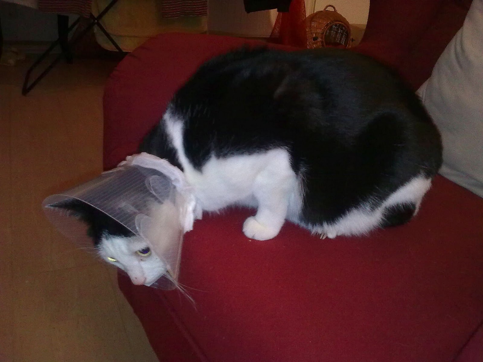 Manuela Sonntag 2010