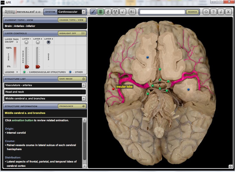 Anatomy Physiology Revealed 2 0 Full Mediafire 2 L En Taringa Anatomy physiology revealed 2 0 full mediafire 2 l en taringa