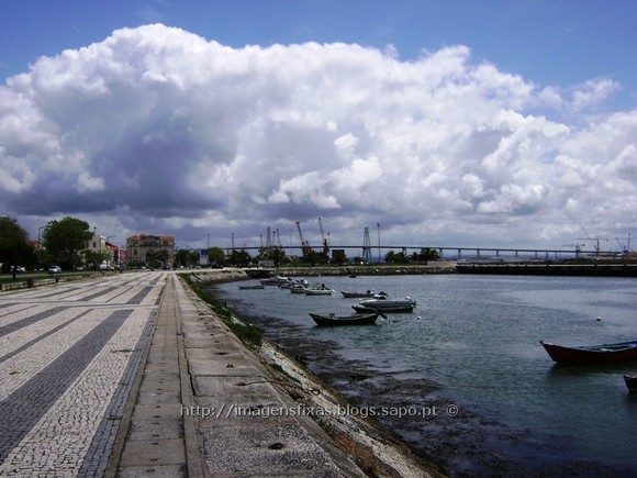 [2053919_AnO8B[1].jpg]