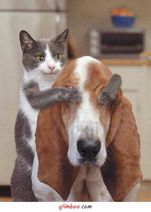 [NEM+QUERO+VER+blog.jpg]