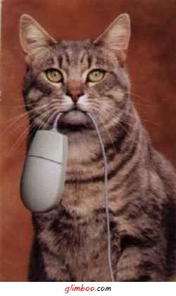 [RATOSSSSSSSSSSSSSSSSSSSSSSSSSSSSSSSSSSSSSS.jpg]