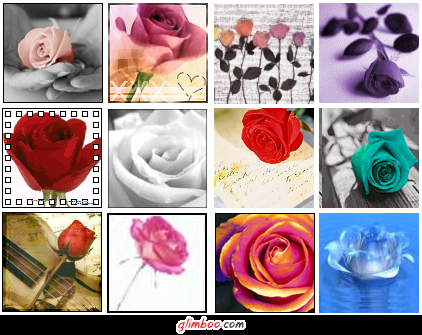 [ROSAS+BLOG.png]