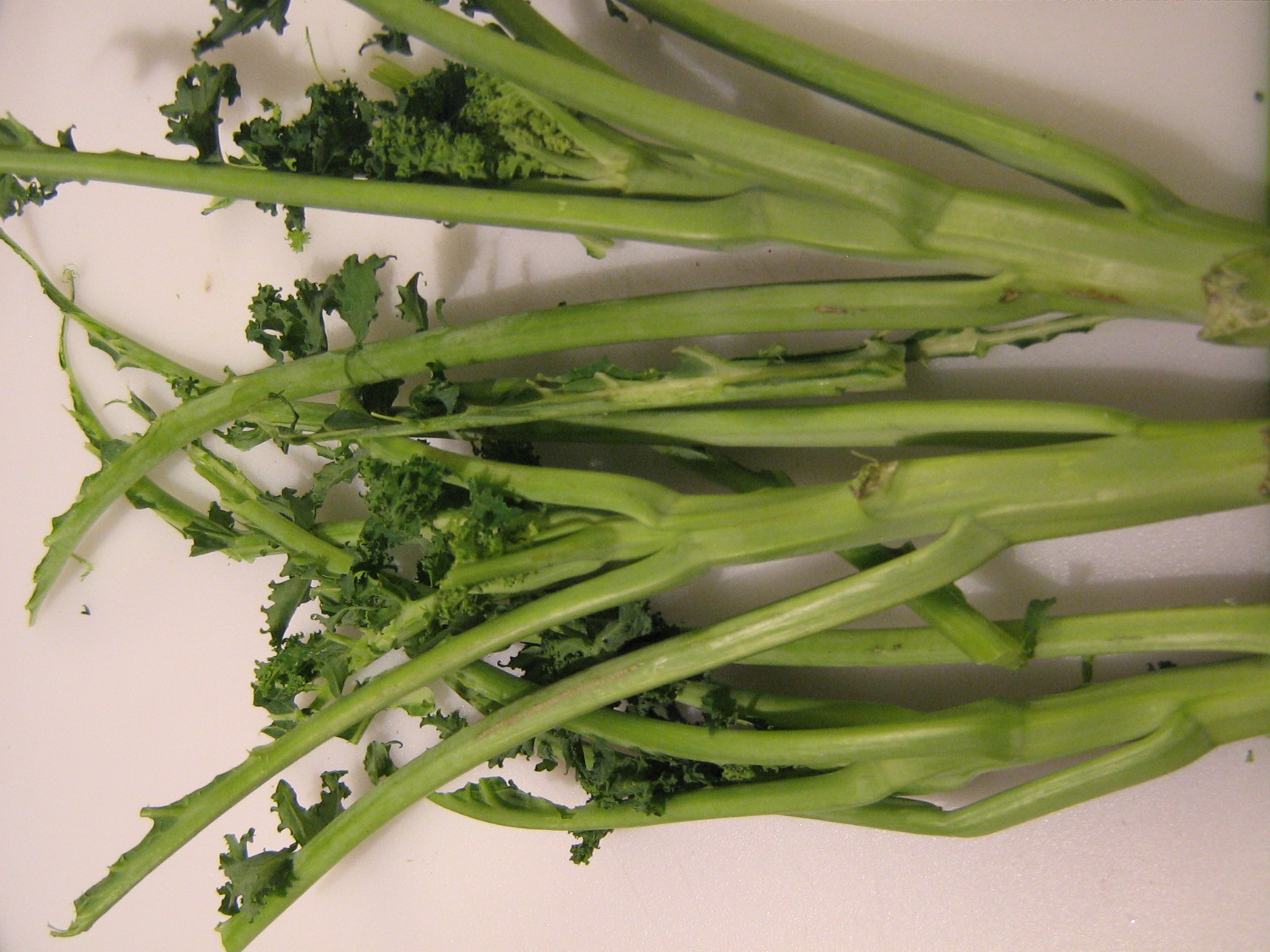 Quanto Basta: I bet you can't eat just the one!