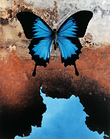 [matter-over-mind-3.jpg]