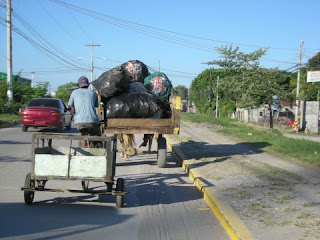 recycling by horse cart, La Ceiba, Honduras