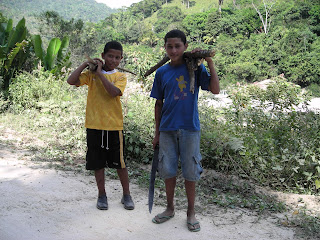Honduran boys collecting wood