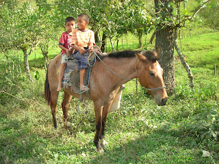 Boys on horse, Yaruca, Honduras