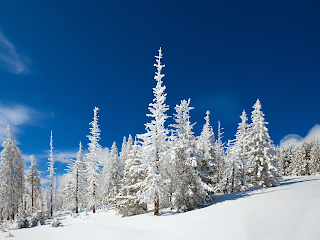 Best Places to Travel in February for Valentine