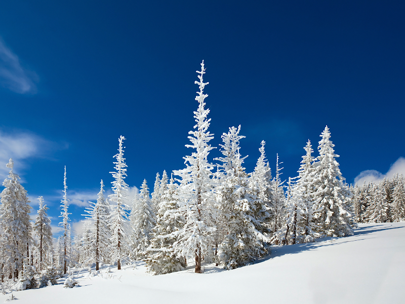 Best Places to Travel in February for Valentines day