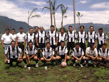 EQUIPO SDTEV29-2010